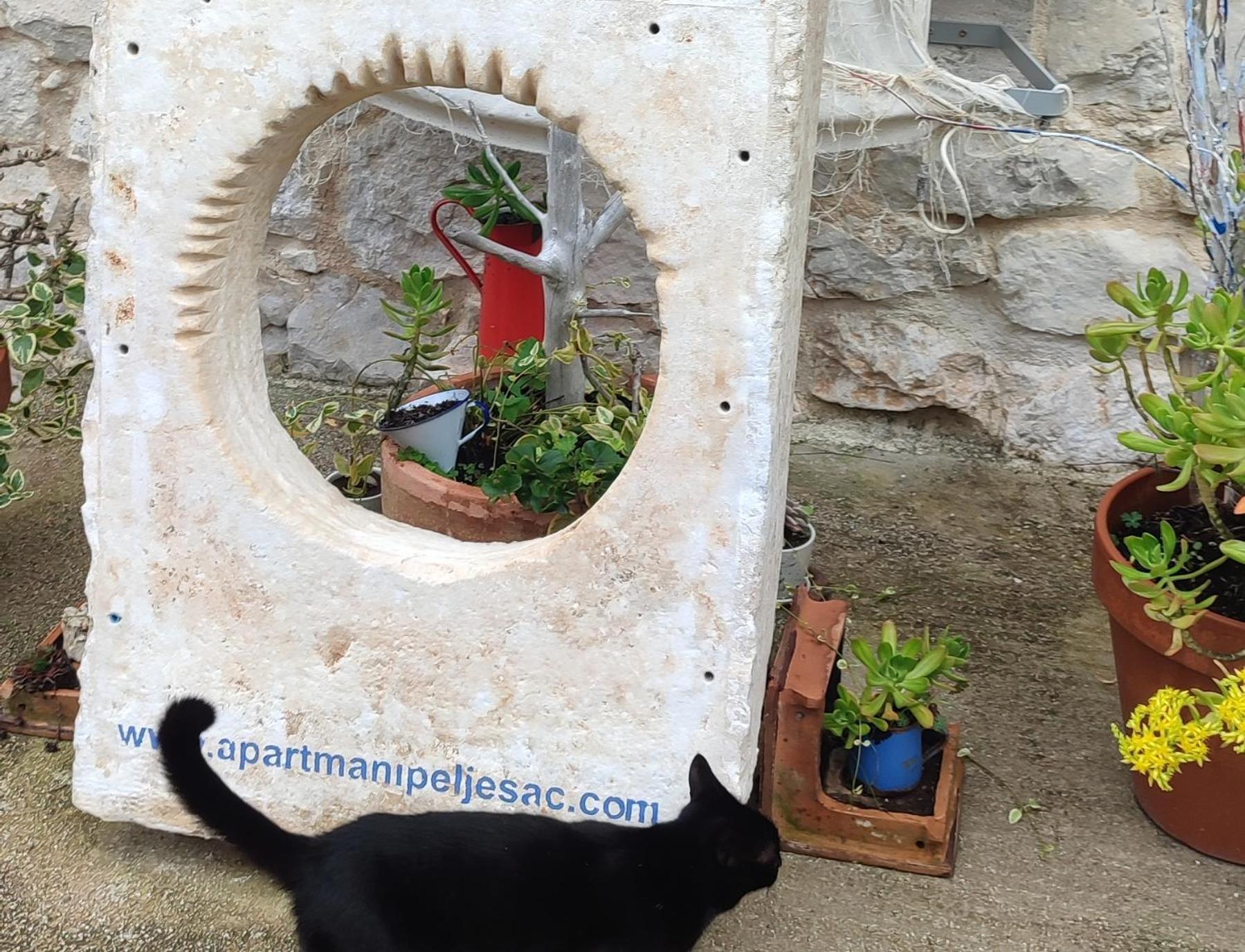 Apartmani Peljesac Sova Sreser Luaran gambar